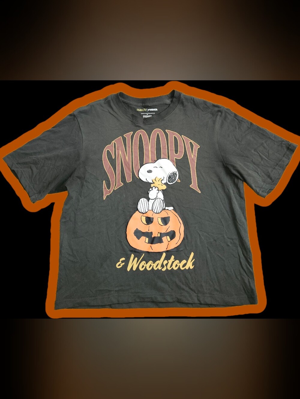 Snoopy Halloween & Woodstock Shirt